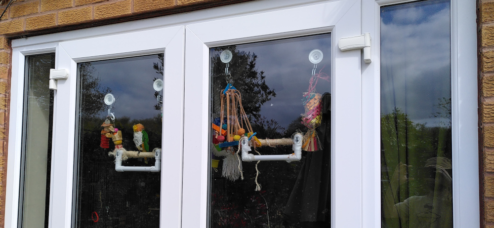 Wistful longing for an outdoor space.